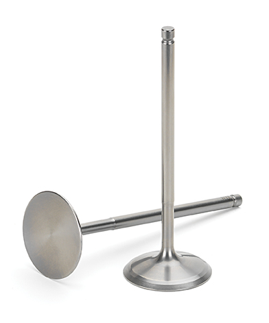 Chrome Exhaust Valves